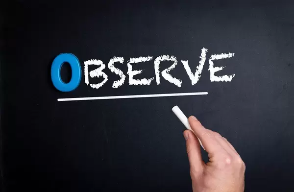 Hand schreibt das Wort "Observe" - Beobachten / Observieren - mit Kreide auf eine schwarze Tafel