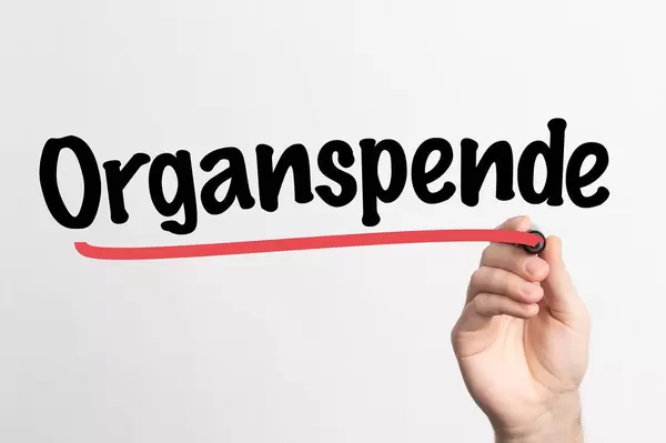 Hand schreibt "Organspende" auf ein Whiteboard