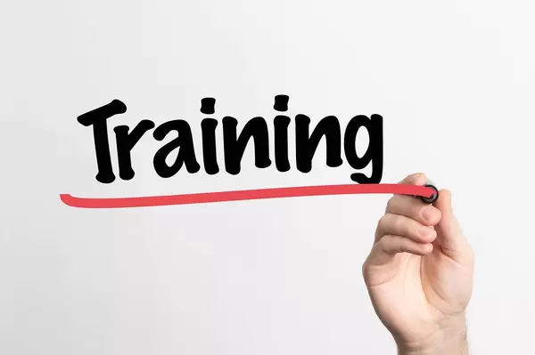 Hand schreibt "Training" auf ein Whiteboard