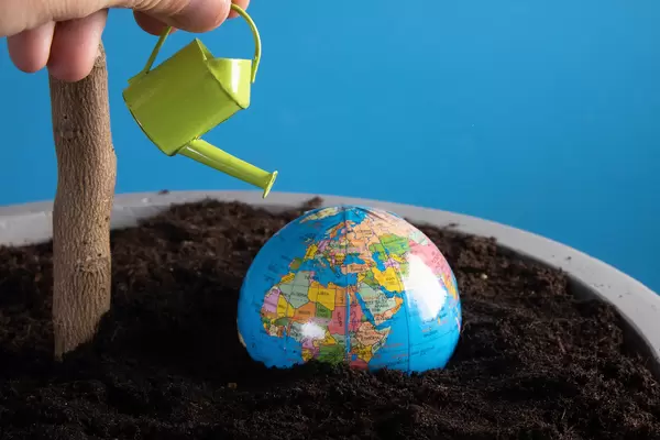 Hand watering little globe buried in dirt