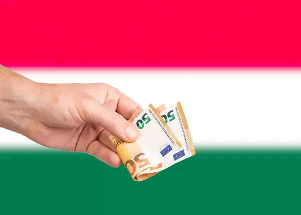 Hand with Euro banknotes over flag of Hungary