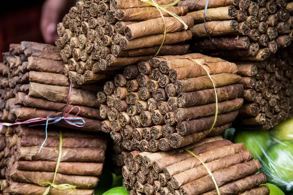 Handgemachte Zigarren im Bündel auf dem Markt