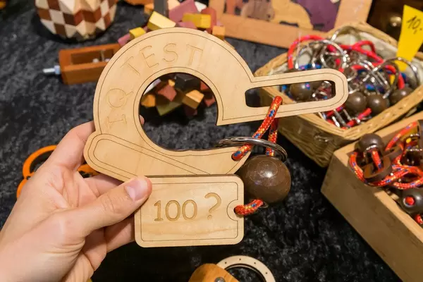 Handrätsel aus Holz und IQTest 100 als Herausforderung