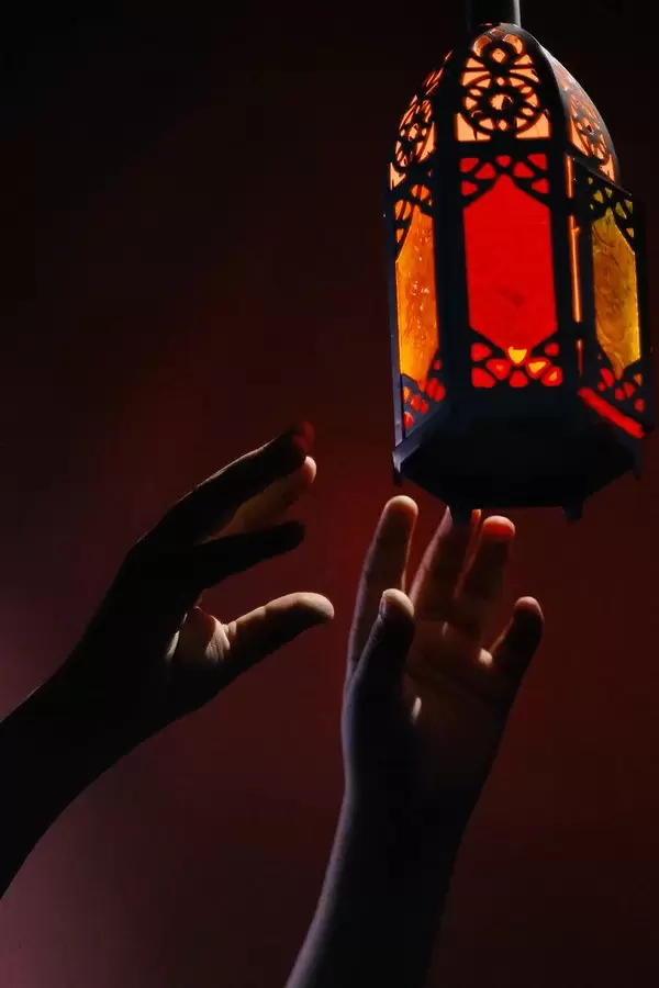 Hands of unrecognizable person trying to reach a lamp.jpg