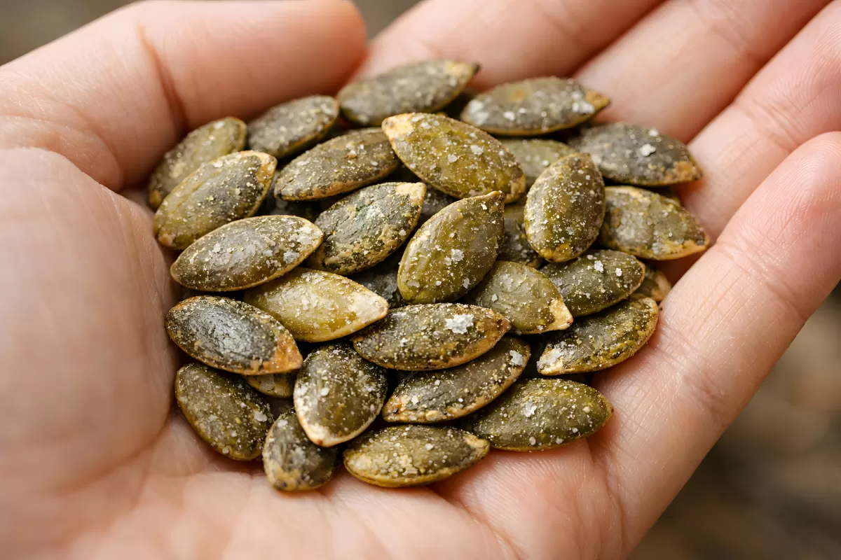 Handvoll sonnengegerbter Kürbiskerne