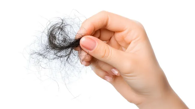 Handvolle abgebrochener Haare als Zeichen von Haarausfall