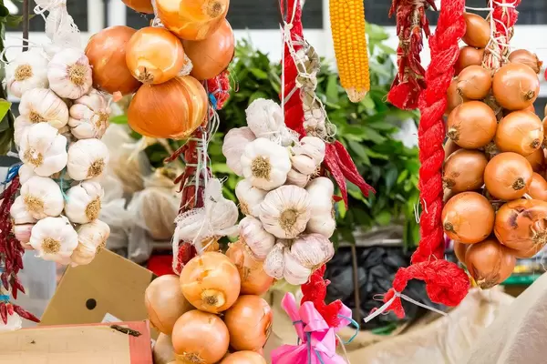 Hängende Knoblauch- und Zweibeln-Knollen