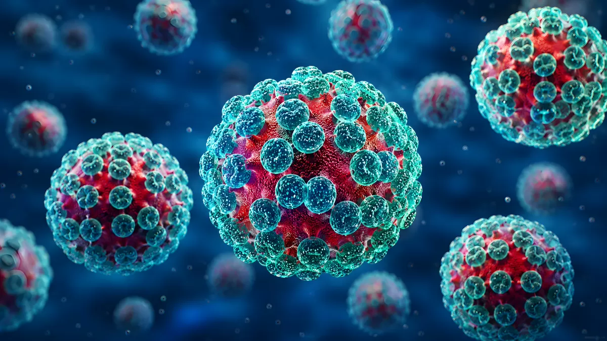 Hantavirus: 3D-Darstellung unter dem Mikroskop