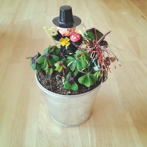 Happy new year and all the best for 2015. #HNY #2015 #Schornsteinfeger #klee #clover #luck