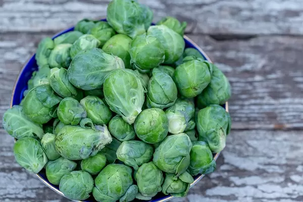 Harvest Brussels sprouts