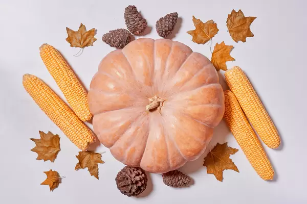 Harvest, thanksgiving concept with pumpkin, corns, pine cones and fall leaves