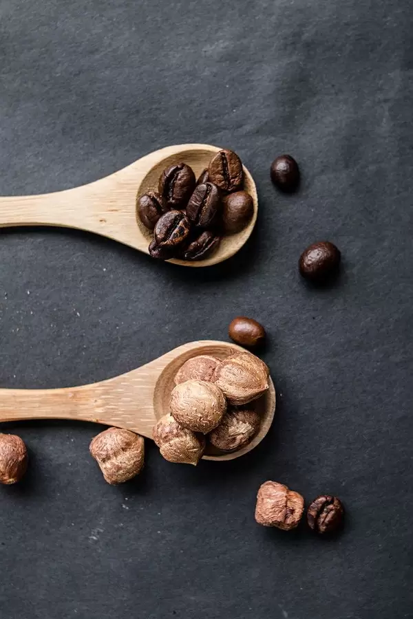 Haselnüsse und Kaffeebohnen