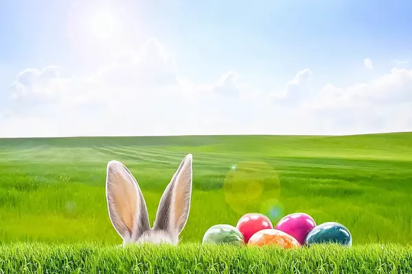 Bunte Osterhasen und Eier im Gras