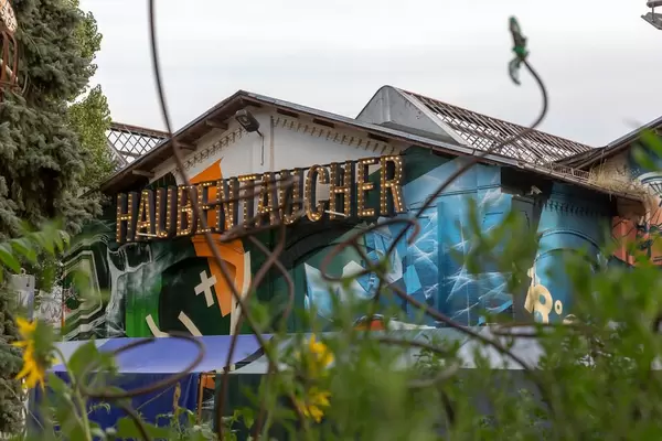 Haubentaucher in Berlin