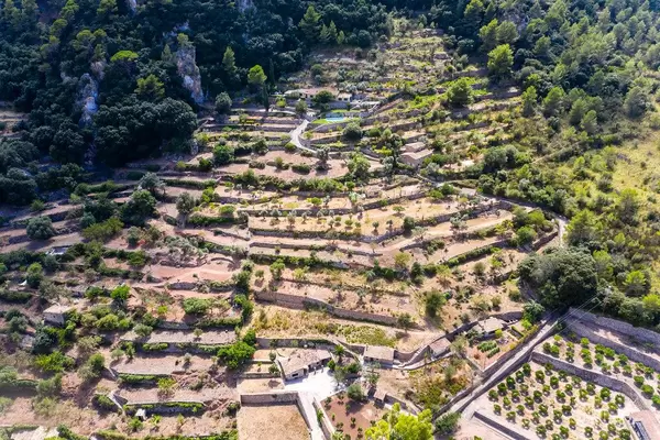 Haus mit Pool auf einem terrassierten Hügel in Valldemossa auf Mallorca. Drohnenaufnahme