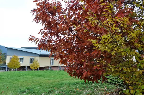 Haus Obere Hengsbach