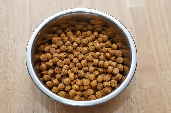 Haustier-Frühstück in einer Schale auf dem Fußboden
