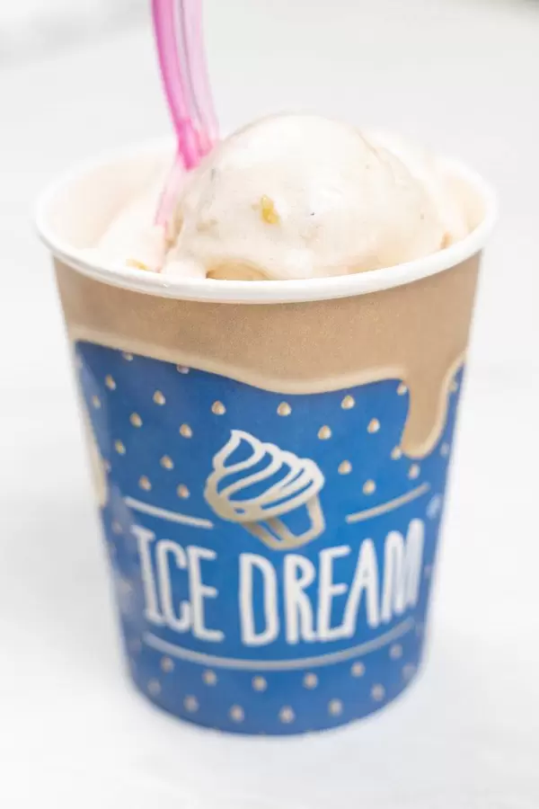 Hazelnut Ice Cream served in the carton bowl