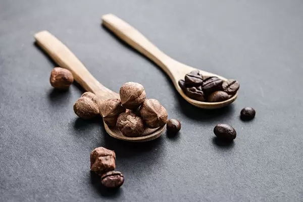 Hazelnuts and coffe beans in wooden spoons