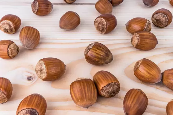 Hazelnuts on the wooden board