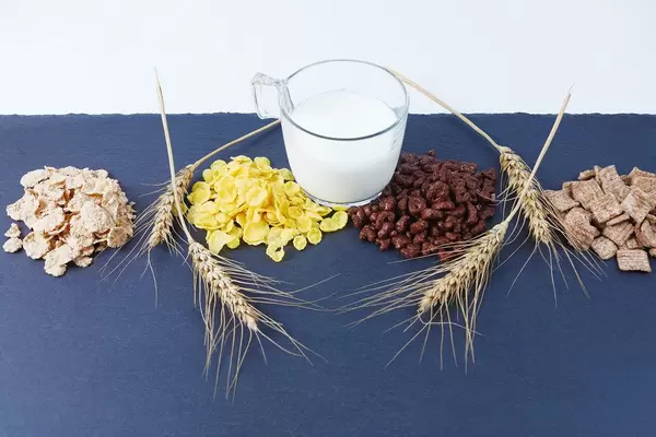 Healthy cereal and milk breakfast, wheat ear