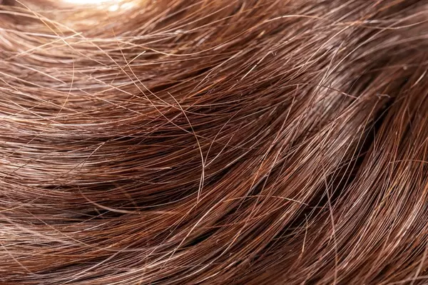 Healthy long dark hair background, close- up (Flip 2020)