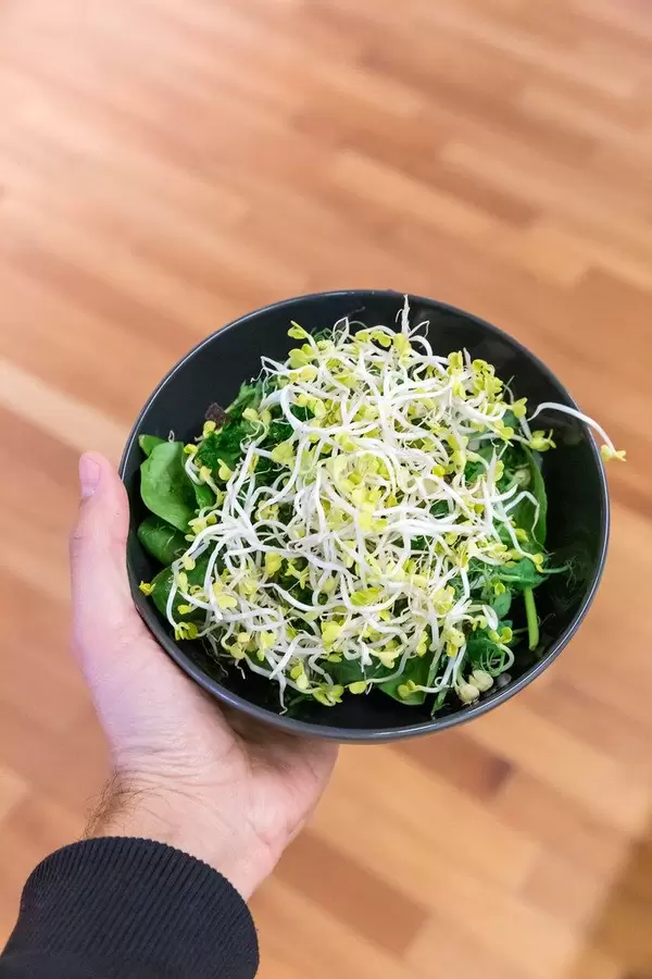 Healthy vegan bowl with sprouts in a male hand at Barcamp OMWest 2019 by AXA in Cologne, Germany