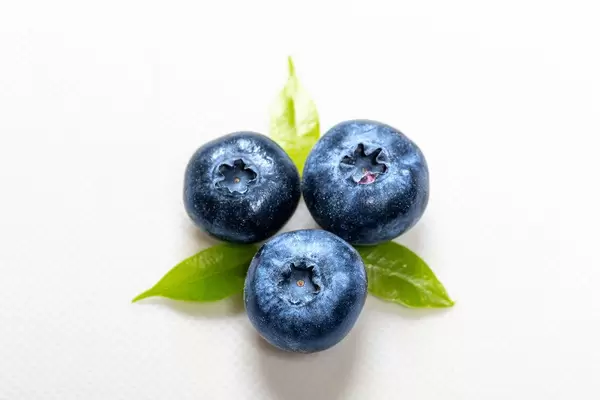 Heidelbeeren mit Blättern und Wassertropfen - Top view