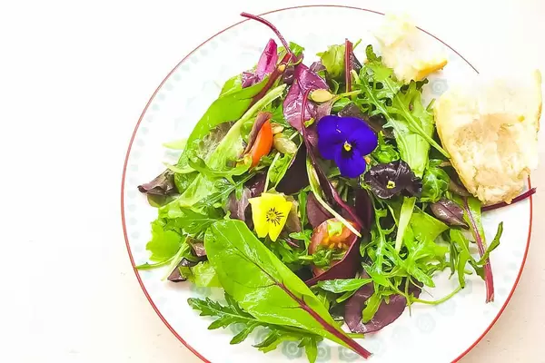Heimischer Gartensalat mit Blumen