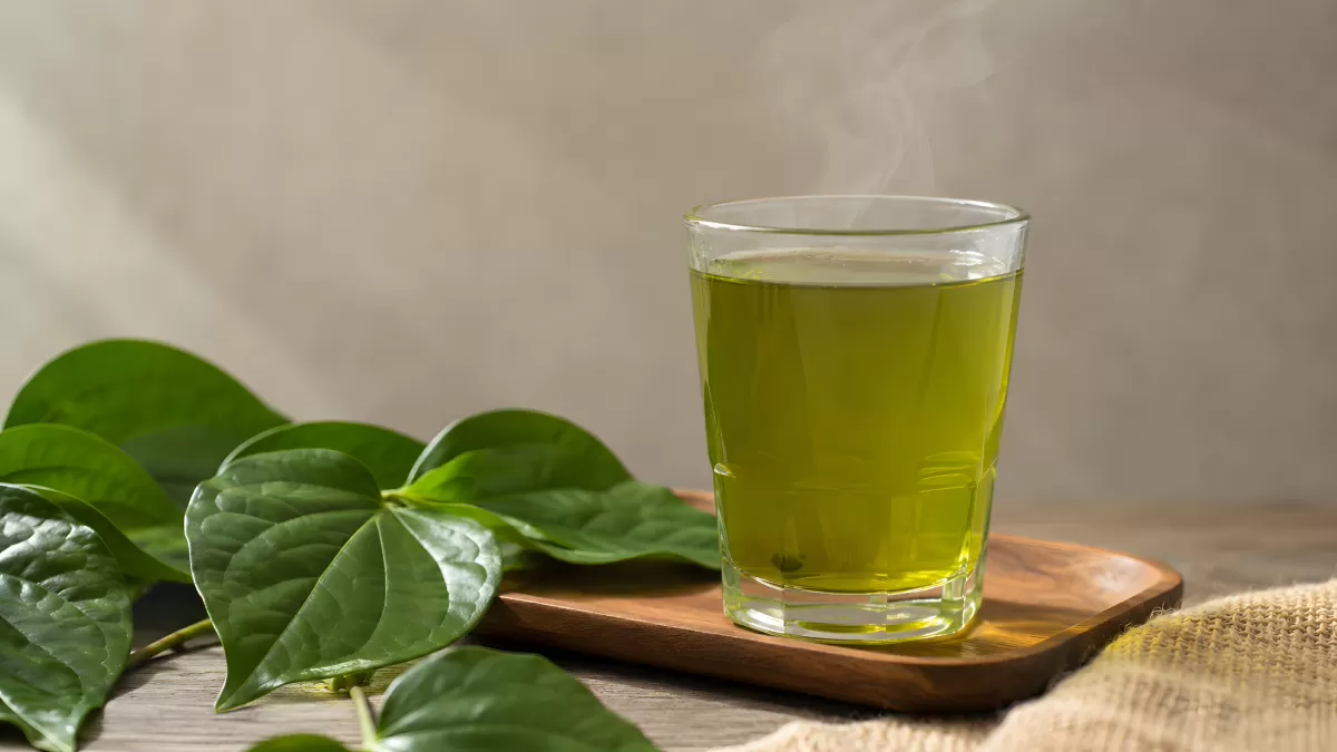 Heißer grüner Tee im Glas mit frischen Blättern
