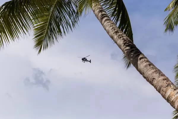 Helikopter fliegt am blauen Himmel hinter einer Palme auf Mahé, Seychellen