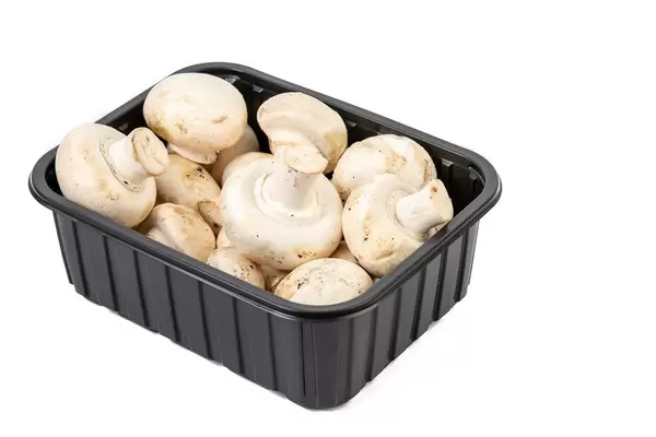 Helle Pilze in einer Plastik-Box vor weißem Hintergrund