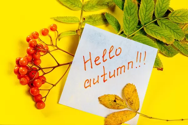 Hello-autumn-tag-and-autumn-leaves-with-Rowan-berries-on-a-yellow-background.jpg