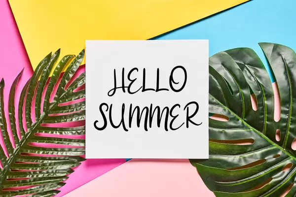 Hello Summer text on colorful paper background with tropical green palm leaves