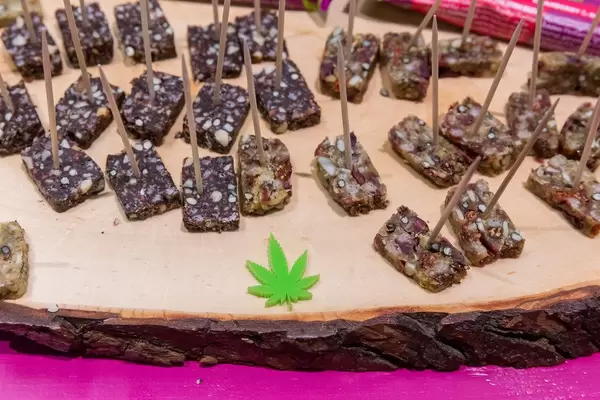 Hemptastic Bar as a snack with Cranberry & Goji taste