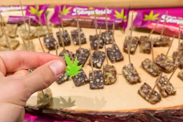 Hemptastic Hanfriegel Cranberry & Goji zum Probieren