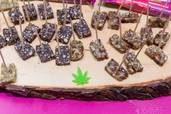 Hemptastic Hanfriegel Snack mit Cranberry & Goji Geschmack zum Probieren