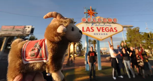 Hennes (FC Köln) vor dem Las Vegas Welcome Sign