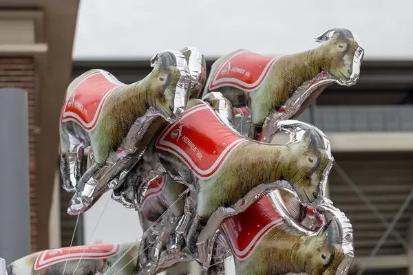 Hennes VIII. als Helium-Ballon