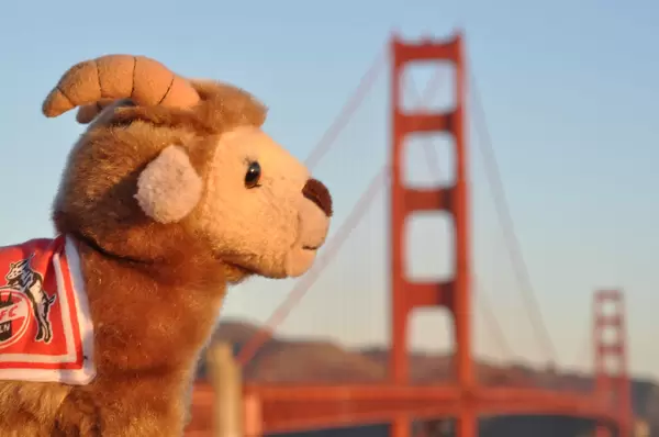 Hennes vor Golden Gate Brücke