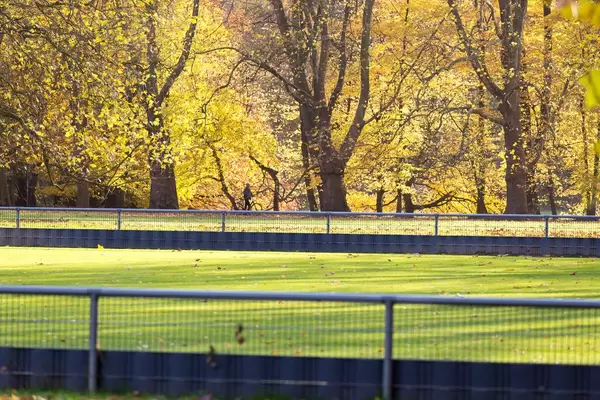 Herbst am Decksteiner Weiher
