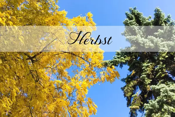 Herbst: Buntte Blätter