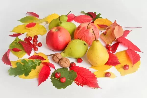 Herbst-Laub und Obst