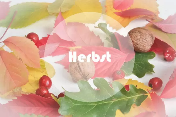 Herbst