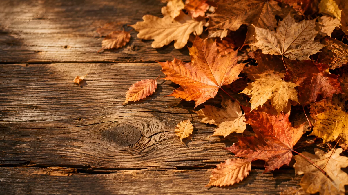 Herbstblätter in Rottönen auf rustikalem Holz