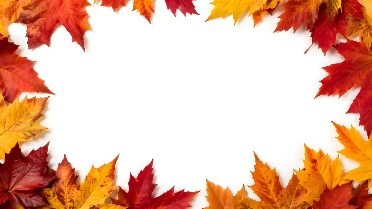 Herbstblätter-Rahmen in Rot, Orange und Gelb