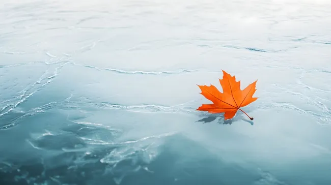 Herbstblatt auf gefrorenem See