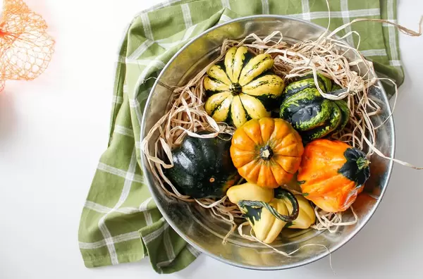 Herbstdekoration: Kürbisse in einer Schale
