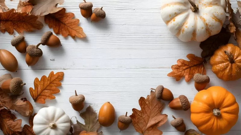 Herbstdekoration mit Eicheln Kürbissen und bunten Blättern