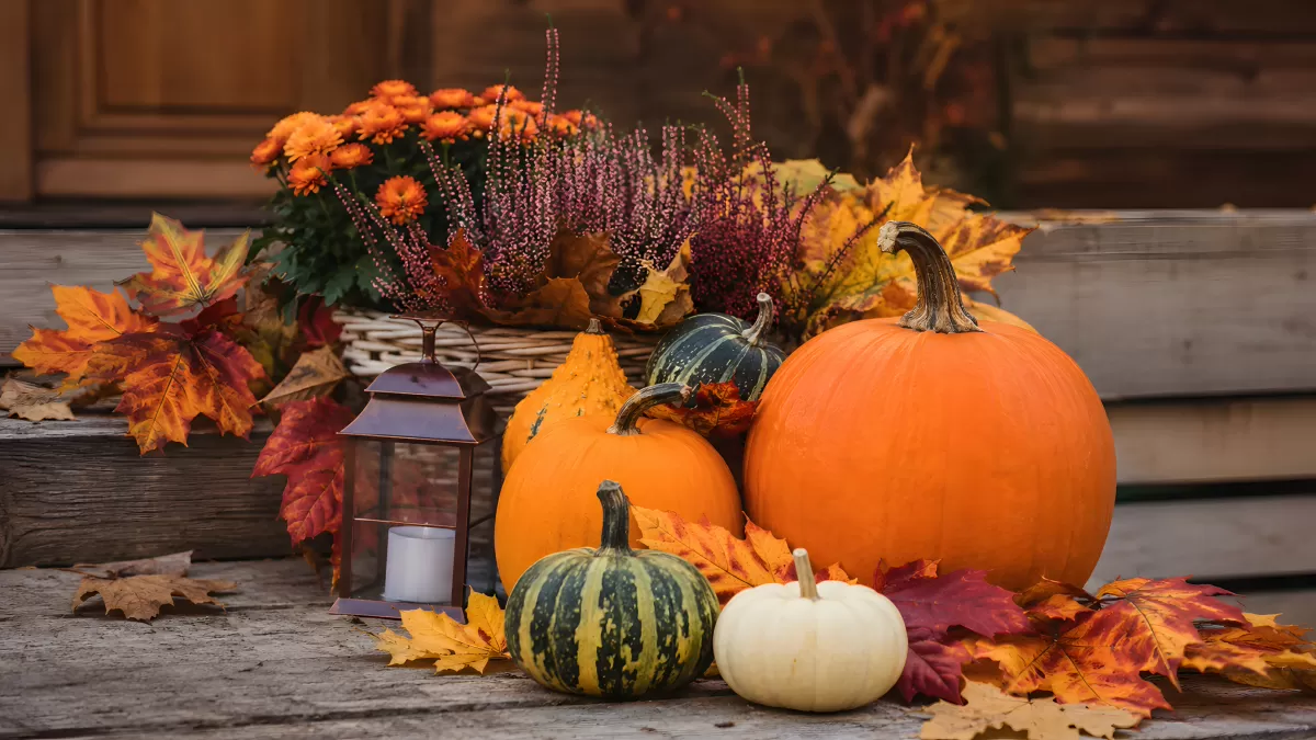 Herbstdekoration mit Kürbissen und buntem Laub auf Holztreppe